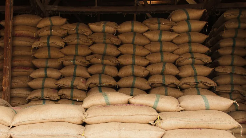 Berita Riau Hari Ini: Stok Beras di Riau Cukup untuk Setengah Tahun Kedepan