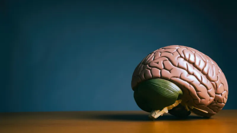 Ngeri! Cacing Parasit Bersarang di Otak Pria Ini Gara-gara Makan Daging Babi Kurang Matang