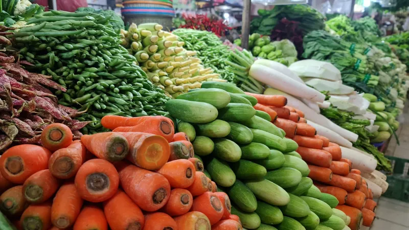 Berita Riau Hari Ini: Antisipasi Lonjakan Harga saat Ramadan, Pemkab Kampar Gelar Pasar Murah Secara Rutin