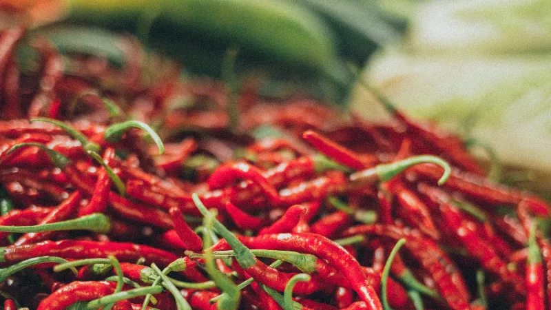 Berita Riau Hari Ini: Pemprov Riau Akan Pasok Cabai dari Sumut untuk Menjaga Stabilitas Harga