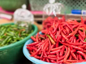 Berita Riau Hari Ini: Pemprov Riau Adakan Pasar Tani untuk Tekan Harga Cabai Tinggi