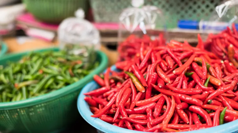 Berita Riau Hari Ini: Pemprov Riau Adakan Pasar Tani untuk Tekan Harga Cabai Tinggi