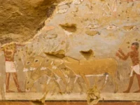 Lukisan Menakjubkan Pada Makam Pendeta Kuno Mesir Perlihatkan Kehidupan 4.300 Tahun Lalu