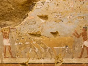 Lukisan Menakjubkan Pada Makam Pendeta Kuno Mesir Perlihatkan Kehidupan 4.300 Tahun Lalu