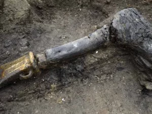 Sisa-sisa Desa Kuno "Pompeii Inggris" Ungkap Rahasia Kehidupan Zaman Perunggu