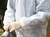 Remaja Vietnam Tewas Akibat Flu Burung H5N1, Waspada Penularan