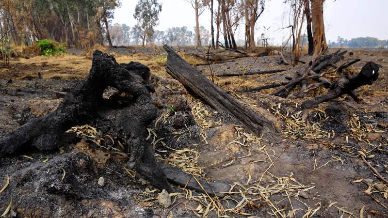 Berita Riau Hari Ini: BNPB Akan Lakukan Modifikasi Cuaca untuk Cegah Karhutla Riau Meluas