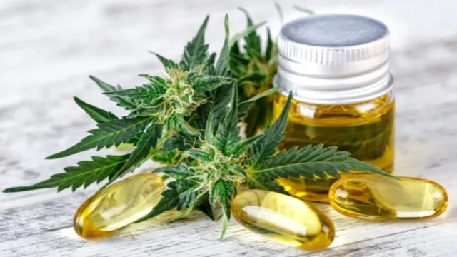 Ganja CBD Efektif Dijadikan Penangkal Kecemasan