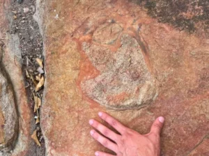 Jejak Dinosaurus dan Seni Ukiran 9.000 Tahun Ditemukan di Brasil