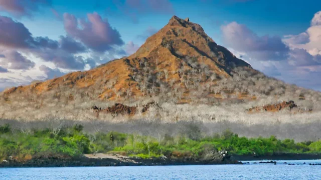 Gunung Berapi La Cumbre di Kepulauan Galapagos Mulai Meletus