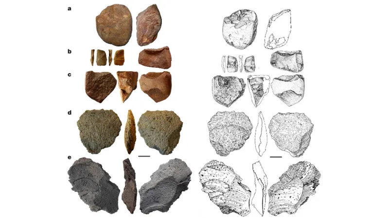 Temuan Perkakas Batu 1,4 Juta Tahun di Ukraina Bukti Migrasi Manusia ke Eropa