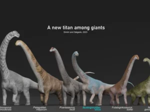 Mengungkap Kehebatan Bustingorrytitan shiva, Dinosaurus Raksasa 'Sang Penghancur'