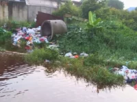 Polemik Tumpukan Sampah di Jalan Gulama Pekanbaru, Warga Resah dan Pihak Terkait Saling Lempar Tanggung Jawab