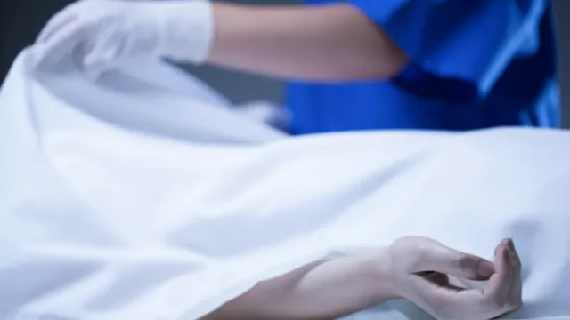 Berita Riau Hari Ini: Misteri Mayat Wanita Tanpa Busana Ditemukan Terlilit Kabel Listrik di Kampar