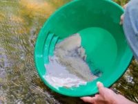 Berita Riau Hari Ini: Polda Riau Bekuk 4 Penambang Emas Ilegal, Sita Ratusan Gram Emas dan Uang Tunai