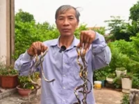 Pria dengan Kuku Sepanjang 1 Meter, Bergantung pada Istri untuk Aktivitas Sehari-hari