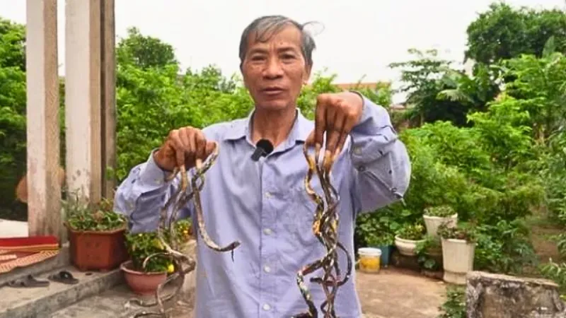 Pria dengan Kuku Sepanjang 1 Meter, Bergantung pada Istri untuk Aktivitas Sehari-hari