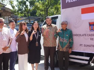 Proses ekspor cokelat lokal Padang ke Singapura oleh Lile Chocolate di Padang Selatan
