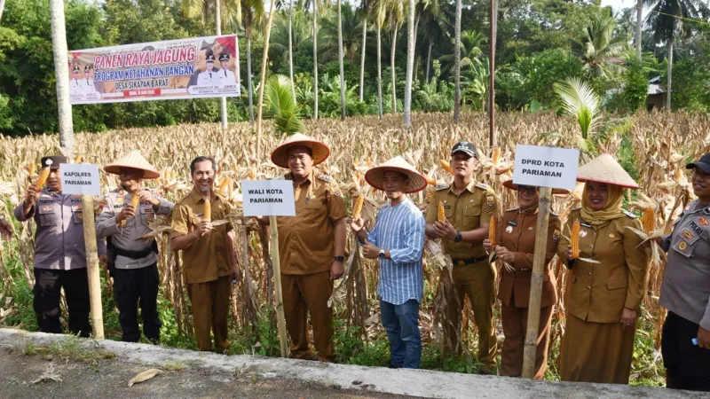 Wali Kota Pariaman Yota Balad bersama petani saat acara panen raya jagung di Desa Sikapak Barat, Pariaman, Senin 16 Juni 2025