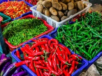 Harga Cabai Merah dan Komoditas Pangan Alami Penurunan di Padang Panjang