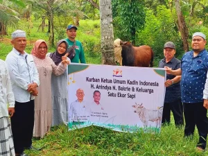 Ketua Umum Kadin Indonesia Anindya Bakrie Berkurban Seekor Sapi di Sumbar