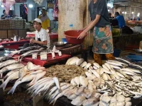 Harga komoditas pangan di Padang Panjang di minggu kedua Juli 2025 di menunjukkan tren bervariasi (Foto: Ist)